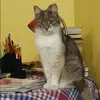 Отзыв от Аня Сизова
